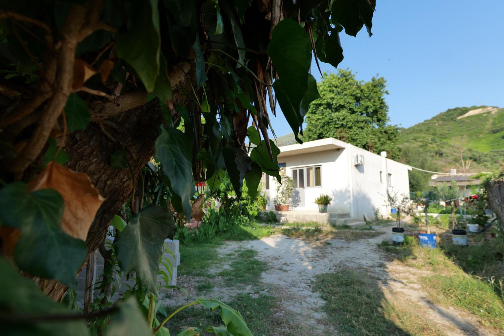 Tropikal Freskia Bunec Saranda Extérieur photo